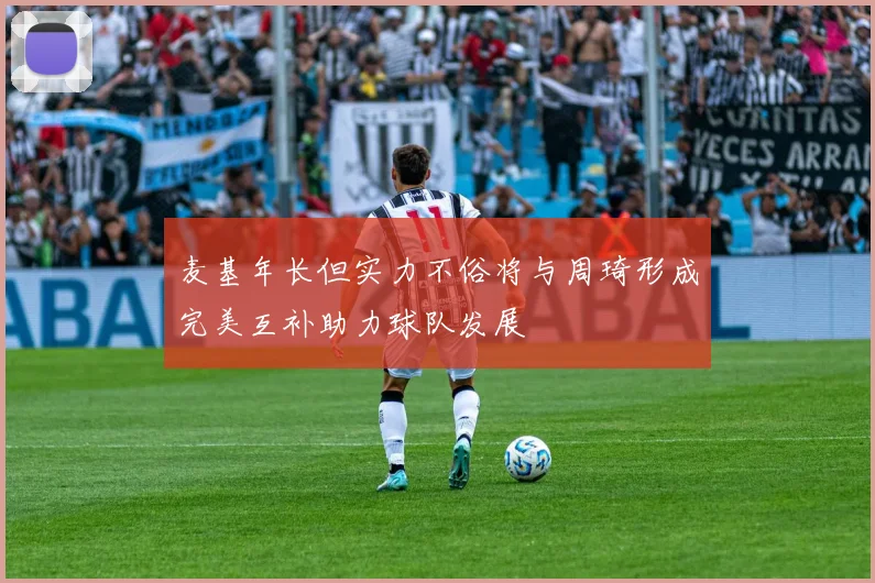 麦基年长但实力不俗将与周琦形成完美互补助力球队发展