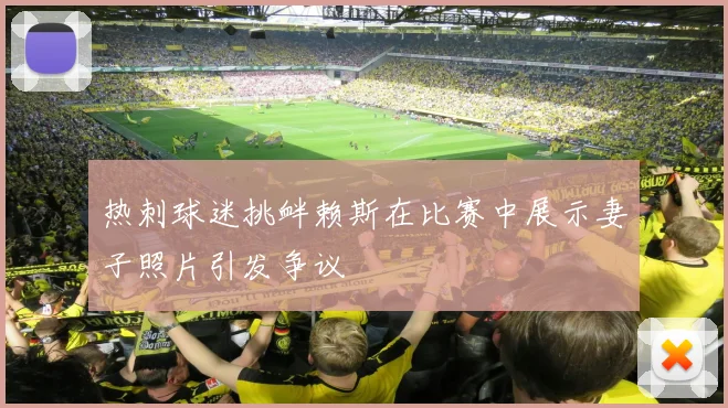 热刺球迷挑衅赖斯在比赛中展示妻子照片引发争议