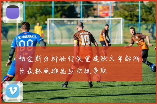 帕金斯分析独行侠重建欧文年龄渐长森林狼雄鹿应积极争取
