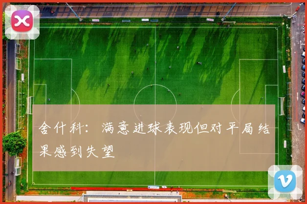 舍什科：满意进球表现但对平局结果感到失望