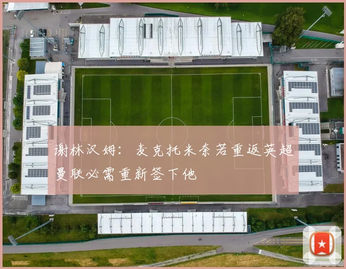 谢林汉姆：麦克托米奈若重返英超曼联必需重新签下他