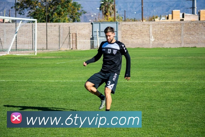 6T体育平台生态图