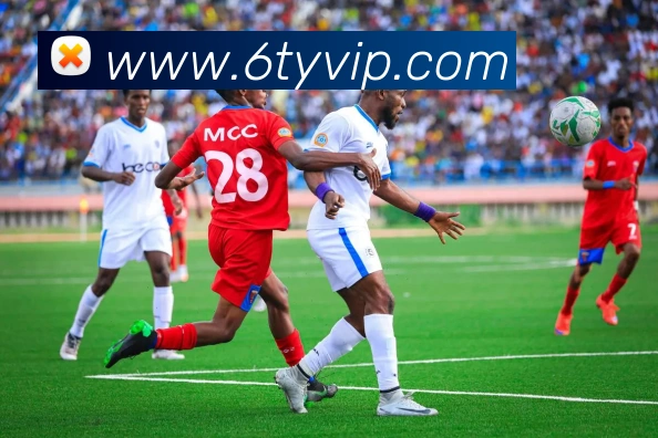 6T体育APP 封面图